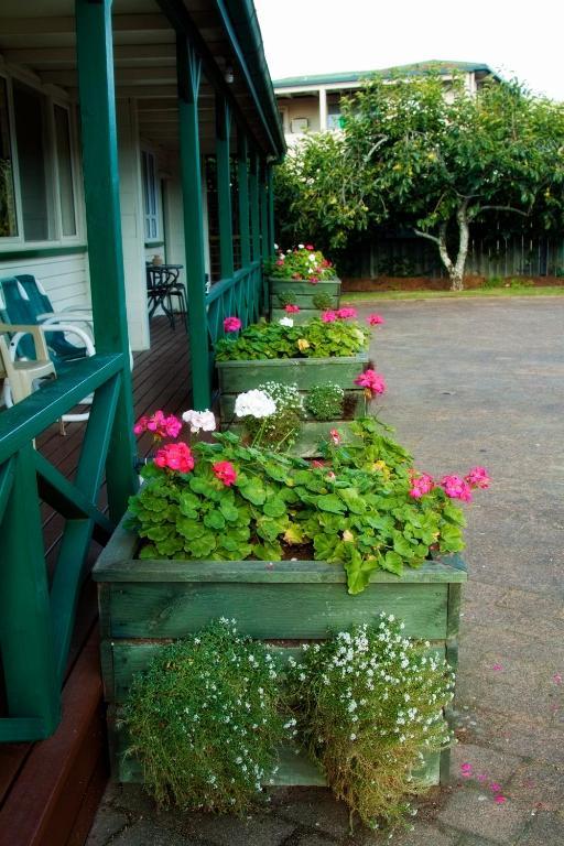Santa Maria Motel Rotorua Pokoj fotografie
